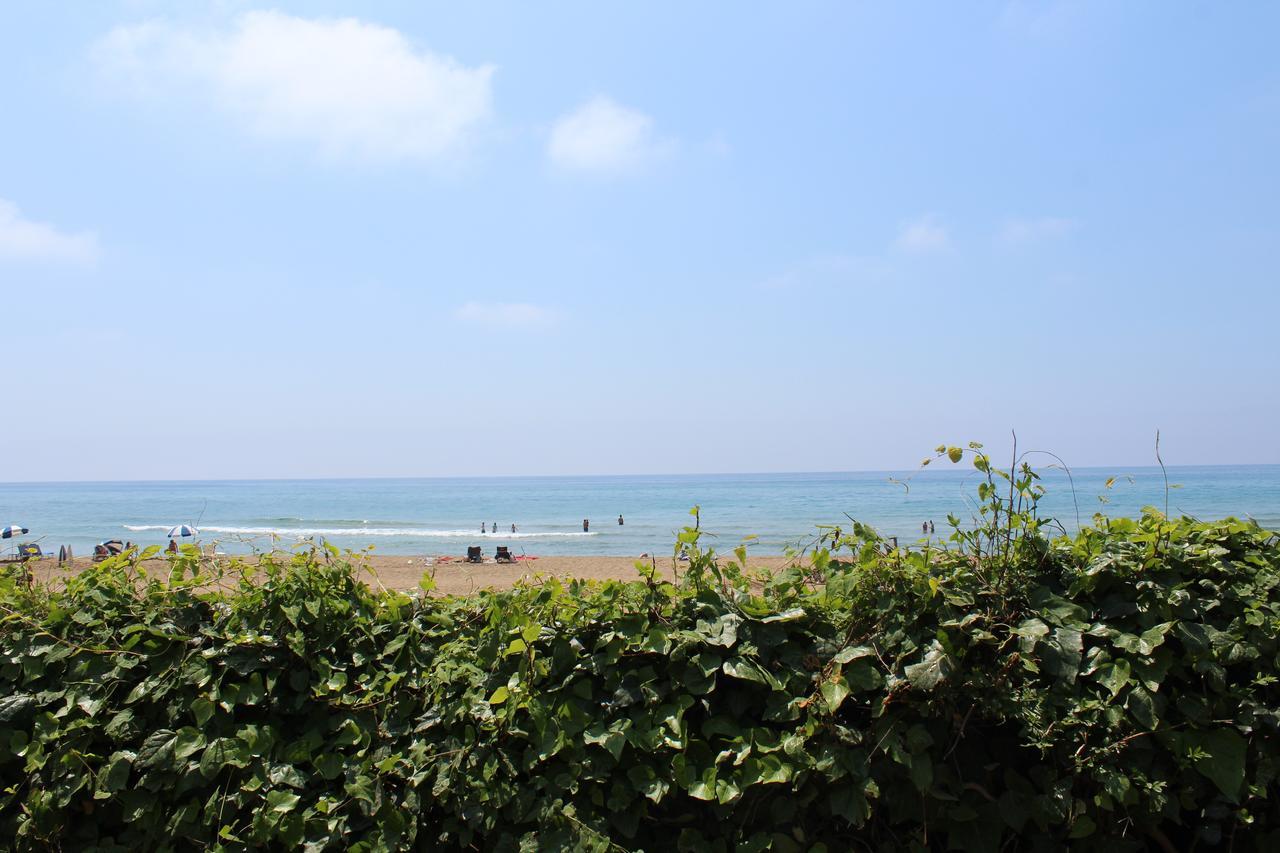 Aparthotel Glyfada Gorgona 2*